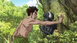 Каменный мир